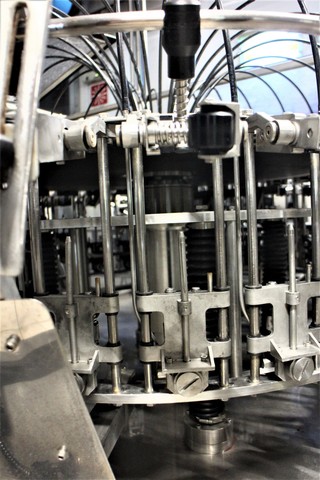 Used rinser Bertolaso Neck Rins 7.000 bph 4