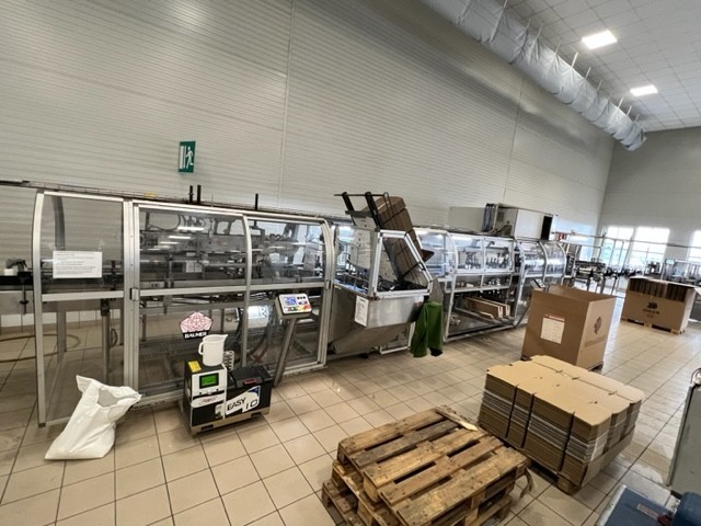 Incartonatrice Wraparound Baumer Flex 512/3 Usato 4
