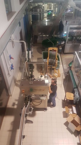 Linea di imbottigliamento per Birra Borelli Usata 2