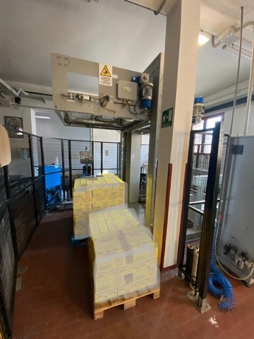 Palletizzatore Ape Pal 2000 Usato 10