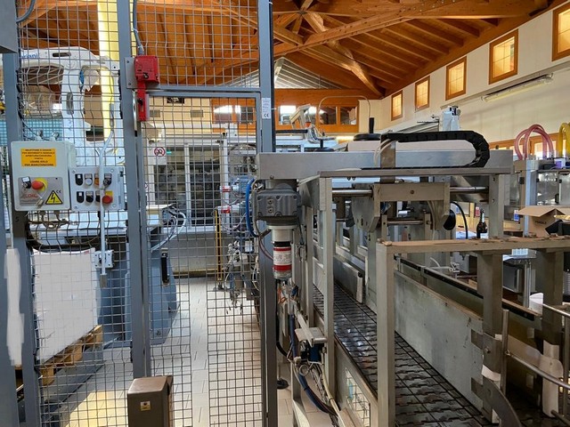 Palletizzatore Mariani Robot Abb Irb 460-110 Usato 3