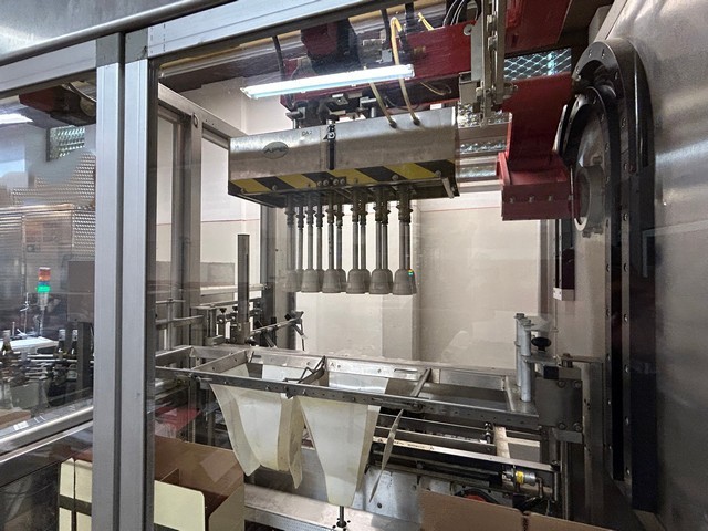 Used Case Packer APE Inca 2001 3