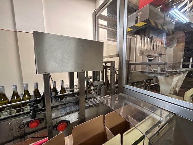 Used Case Packer APE Inca 2001 7