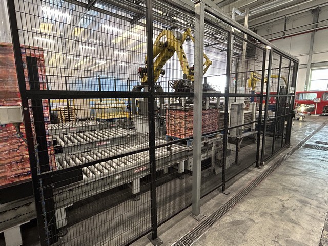 Depalletizzatore Pegasus 2011 Ocme Usato 4
