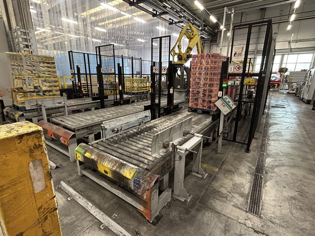 Depalletizzatore Pegasus 2011 Ocme Usato 5