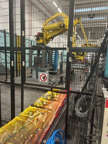Used Ocme Palletizer Pegasus 4