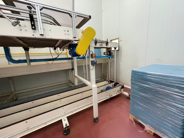 Used Depalletizer Manzini Comaco Da-700BL 21