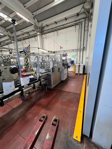 Used Ape packaging end line 22