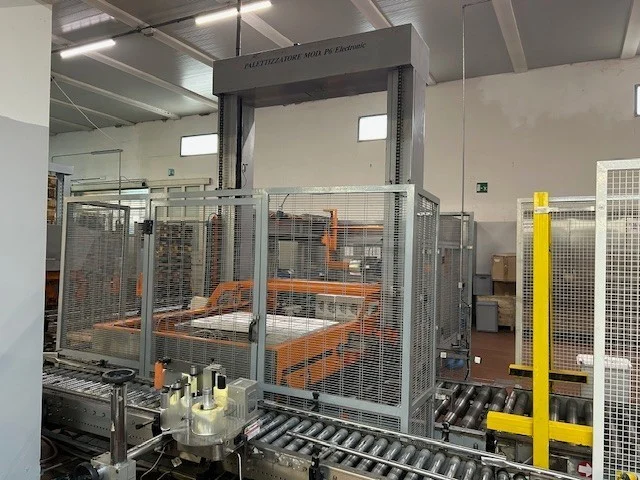 Used Palletizer Mondo&Scaglione P6